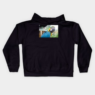 Captivating Color: The Inquisitive Macaw Kids Hoodie